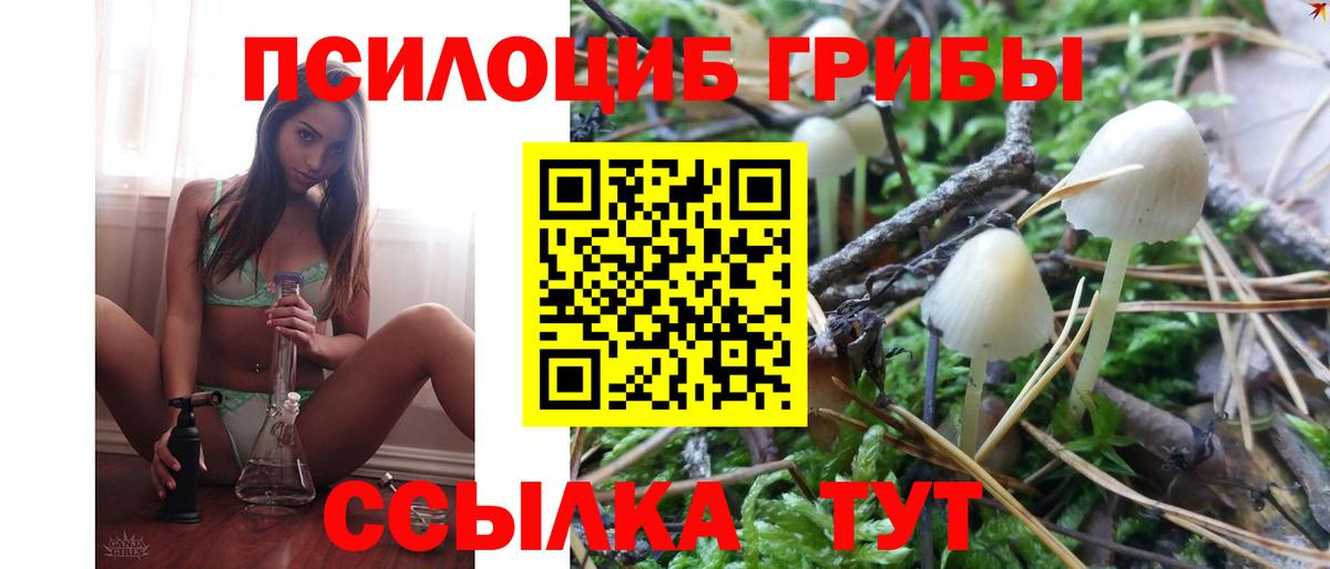 Галлюциногенные грибы GOLDEN TEACHER Михайловка