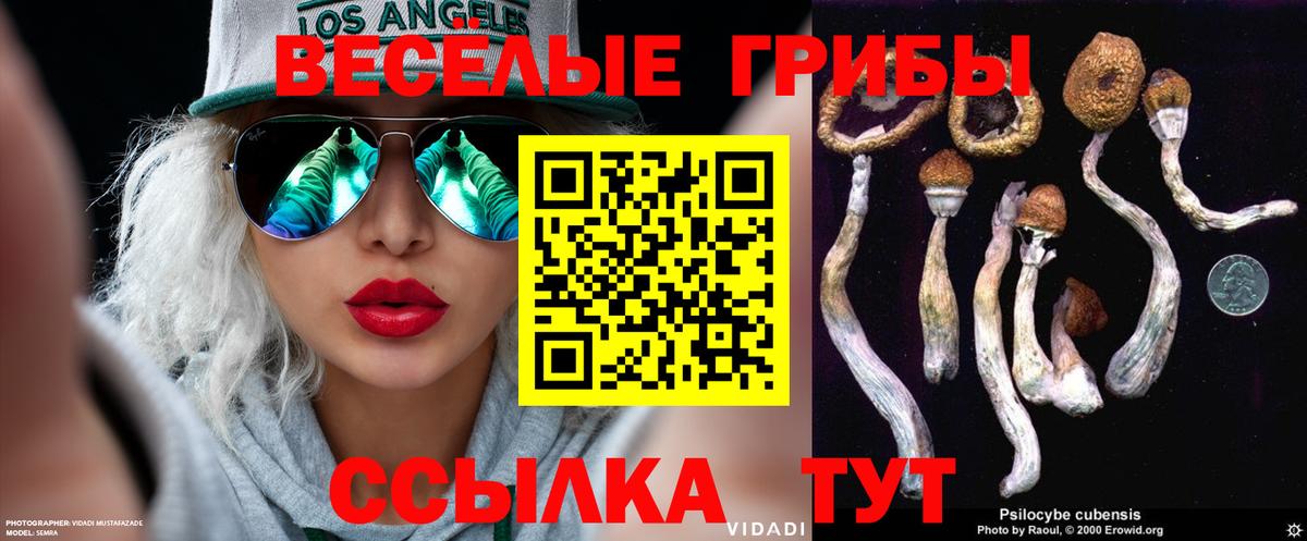 Псилоцибиновые грибы Psilocybine cubensis  Вход с VPN  Галлюциногенные грибы GOLDEN TEACHER  Михайловка 