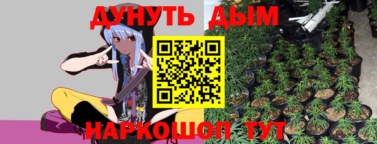 МАРИХУАНА ГИДРОПОН Михайловка